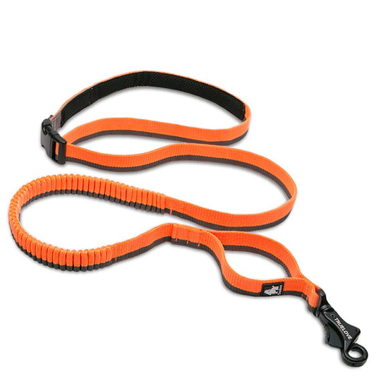 Longe Capture TrueLove