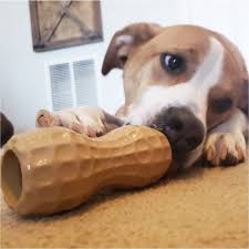 Cacahuète à fourrer Dilly's Poochie Butter