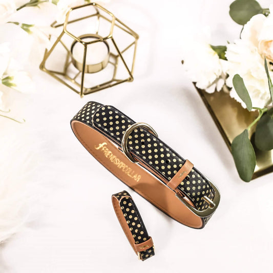 Friendship Collar - Collier et Bracelet Assortis Dotty About You Friendship Collar