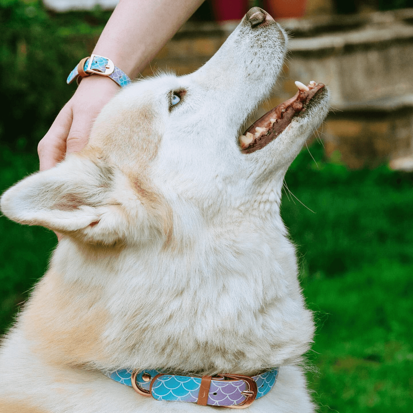 Friendship Collar - Collier et bracelet assortis en forme de queue de sirène Friendship Collar