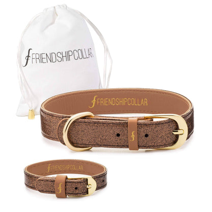 Friendship Collar - The Sparkling Pup : collier et bracelet assortis en bronze scintillant Friendship Collar