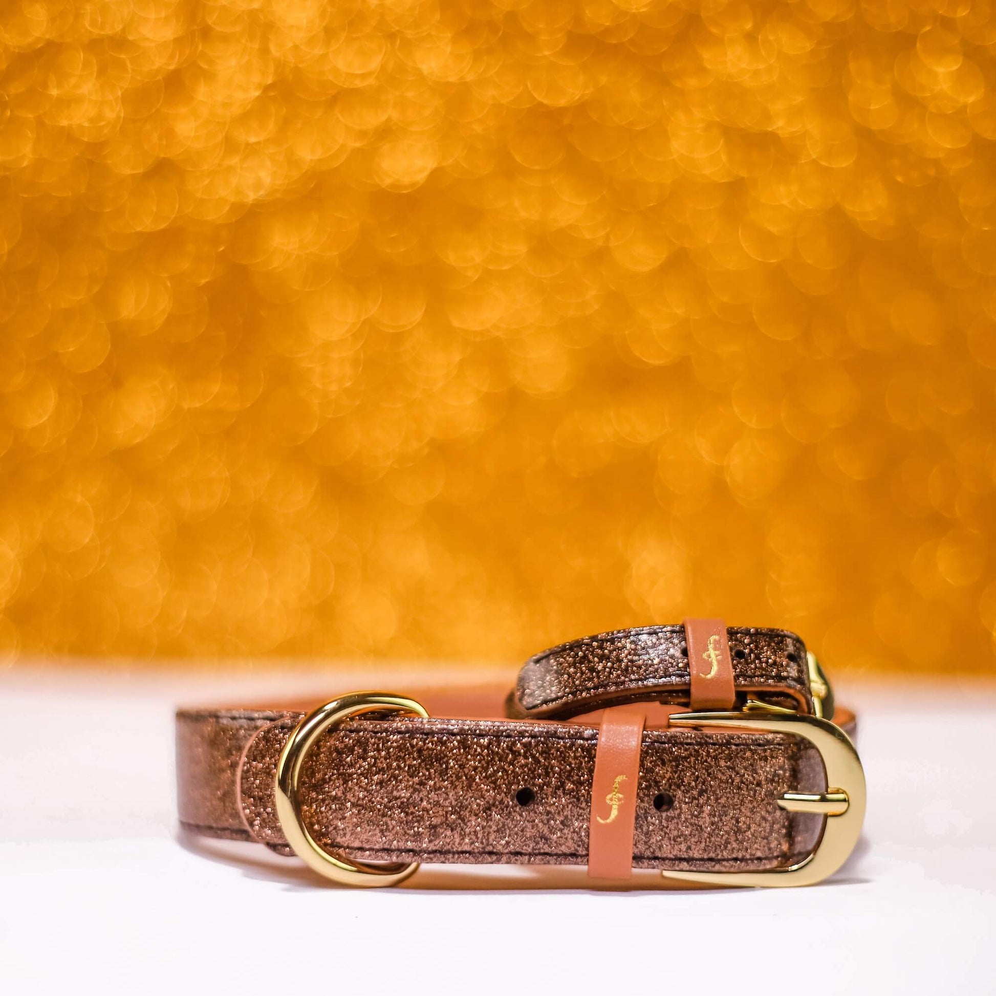 Friendship Collar - The Sparkling Pup : collier et bracelet assortis en bronze scintillant Friendship Collar