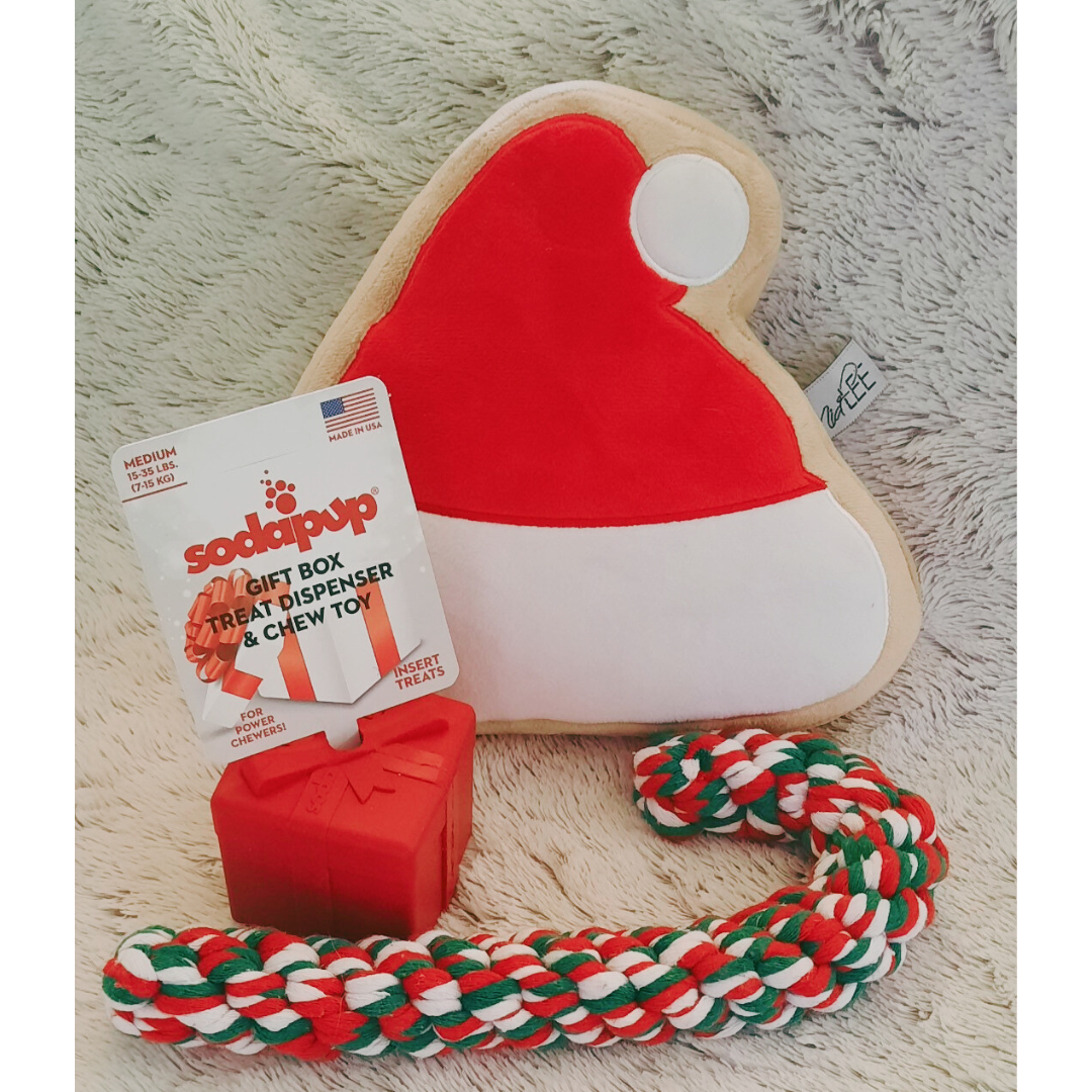 Idée Noël n°1 AVET'SERVICES