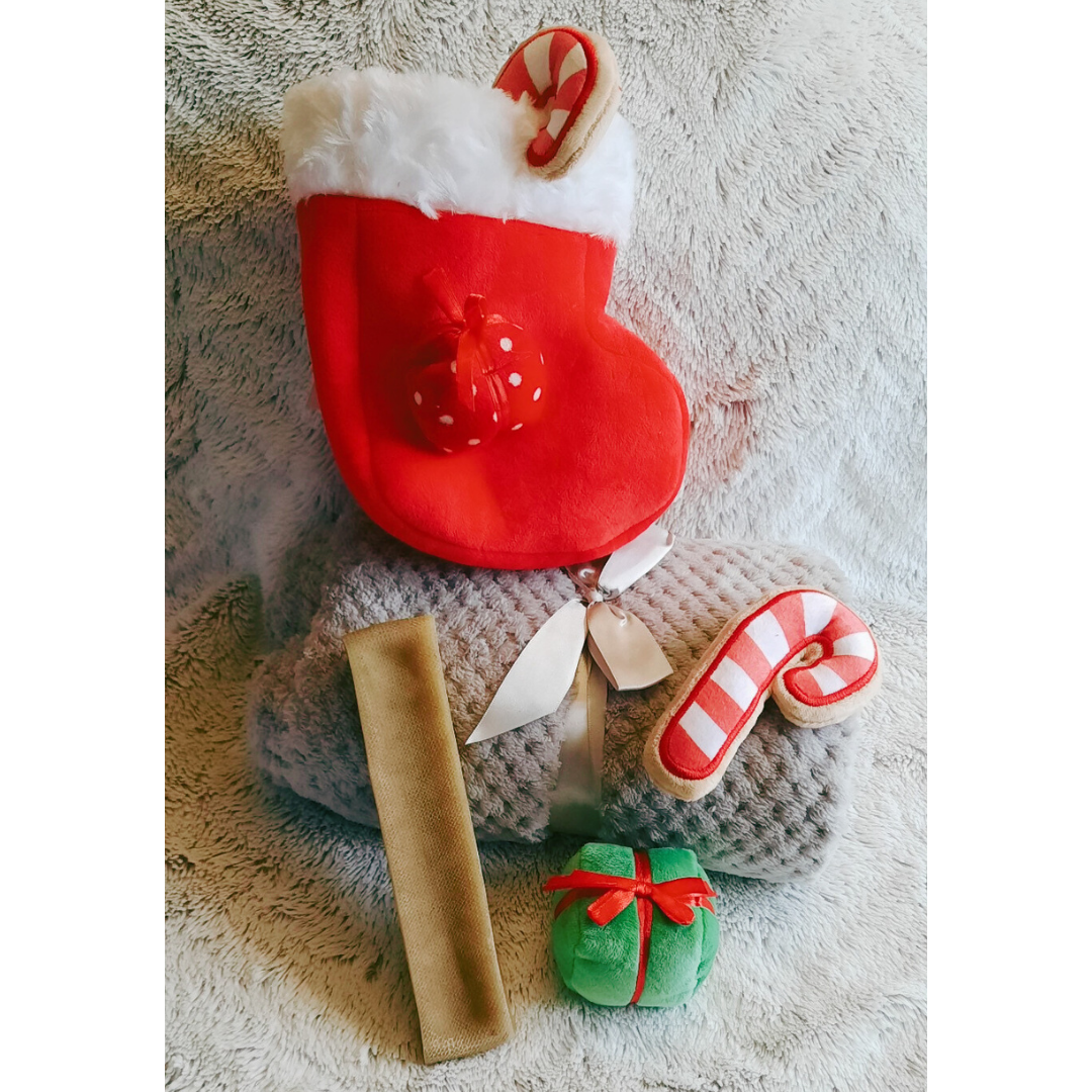 Idée Noël n°2 AVET'SERVICES