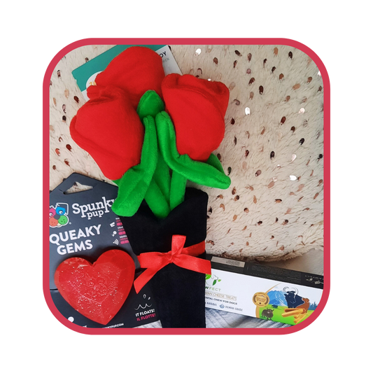 Offre Roses AVET'SERVICES