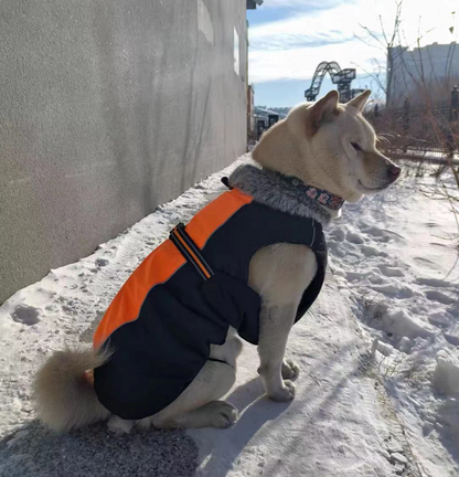 Manteau Truelove Snow TrueLove