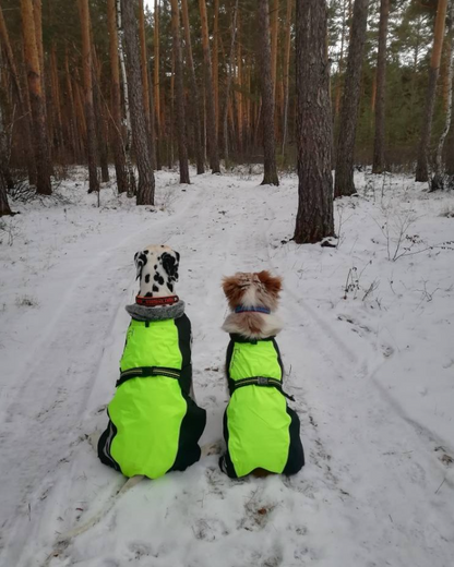 Manteau Truelove Snow TrueLove