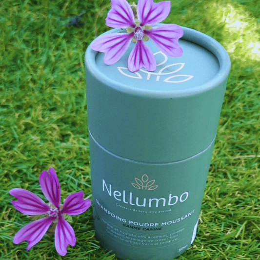 Shampoing pour chien poudre moussante Nellumbo