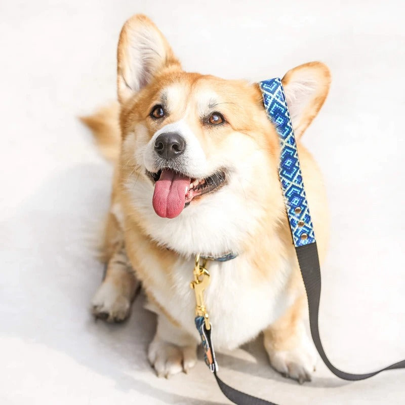 Laisse Mucky Pup Friendship Collar