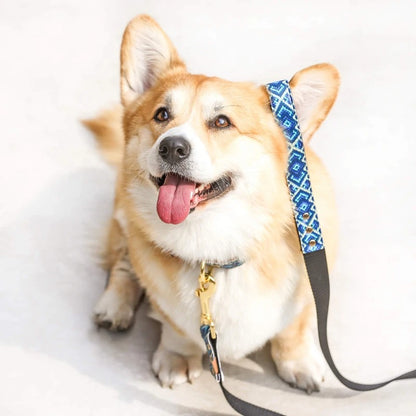 Laisse Mucky Pup Friendship Collar