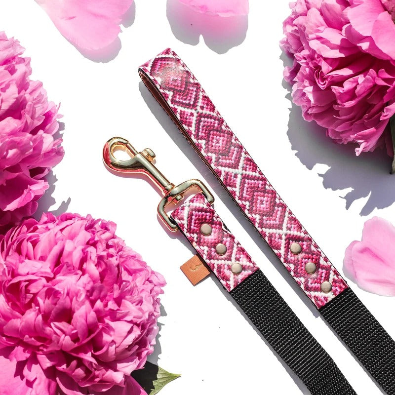 Laisse Princesse Pedigree Friendship Collar