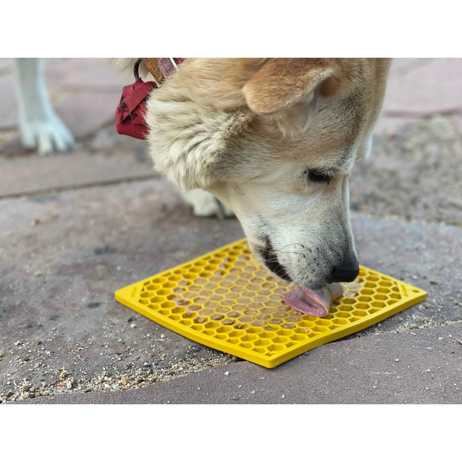 Tapis de Léchage Nid d'abeille Soda Pup