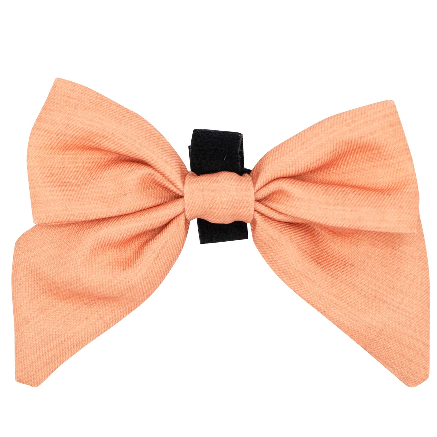Noeud pour collier Apple Cidre Sassy Woof
