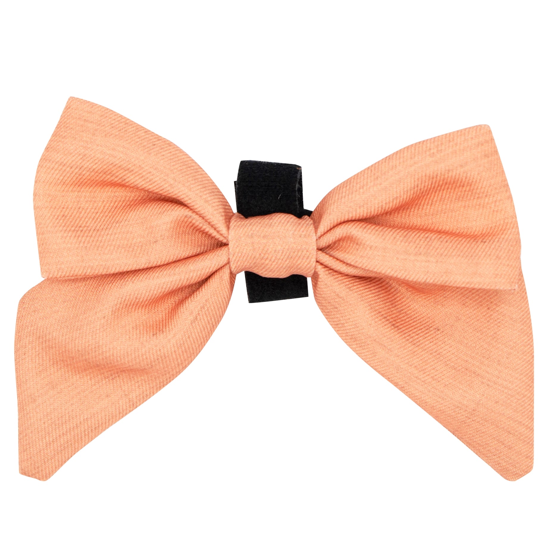 Noeud pour collier Apple Cidre Sassy Woof