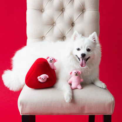 Cœur et oursons Zippy Paws