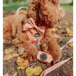 Noeud pour collier Apple Cidre