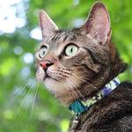 Collier Chaton Botanical Lotus