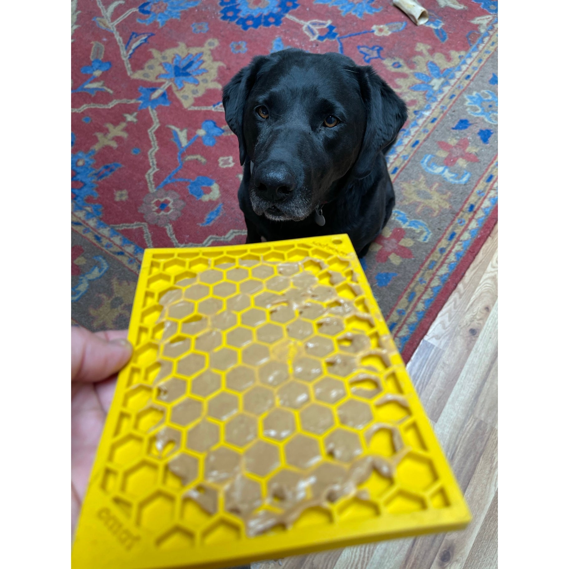 Tapis de Léchage Nid d'abeille Soda Pup