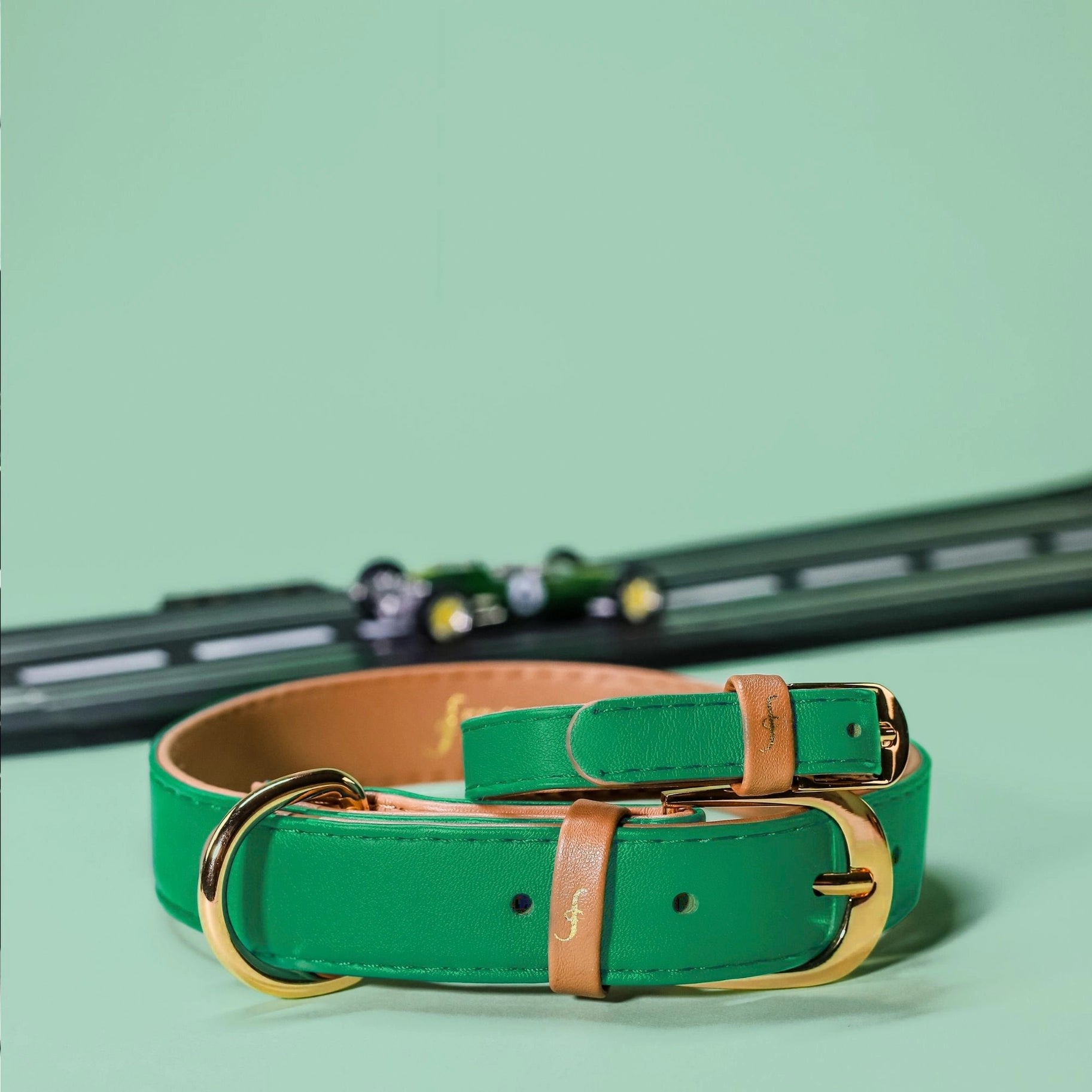 Collier et Bracelet Vert forêt Friendship Collar