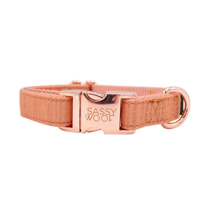 Collier Apple Cidre Sassy Woof