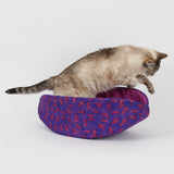 Lit Cat Canoe®