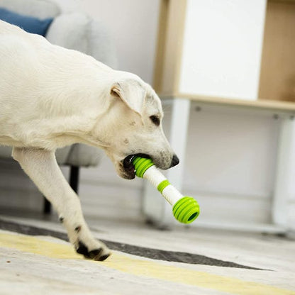 Playbone Petgeek