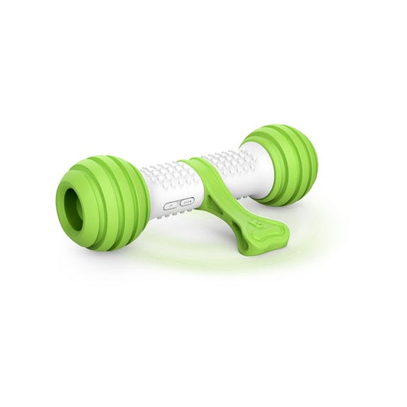 Playbone Petgeek