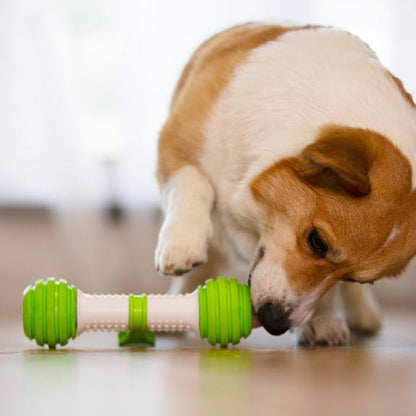 Playbone Petgeek