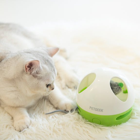 Souris cachée Petgeek