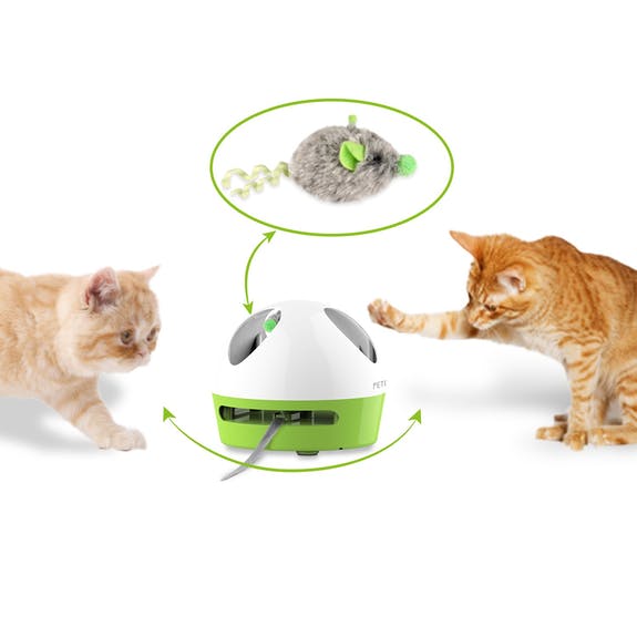 Souris cachée Petgeek