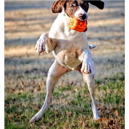 Distributeur Jack'O'lantern Soda Pup