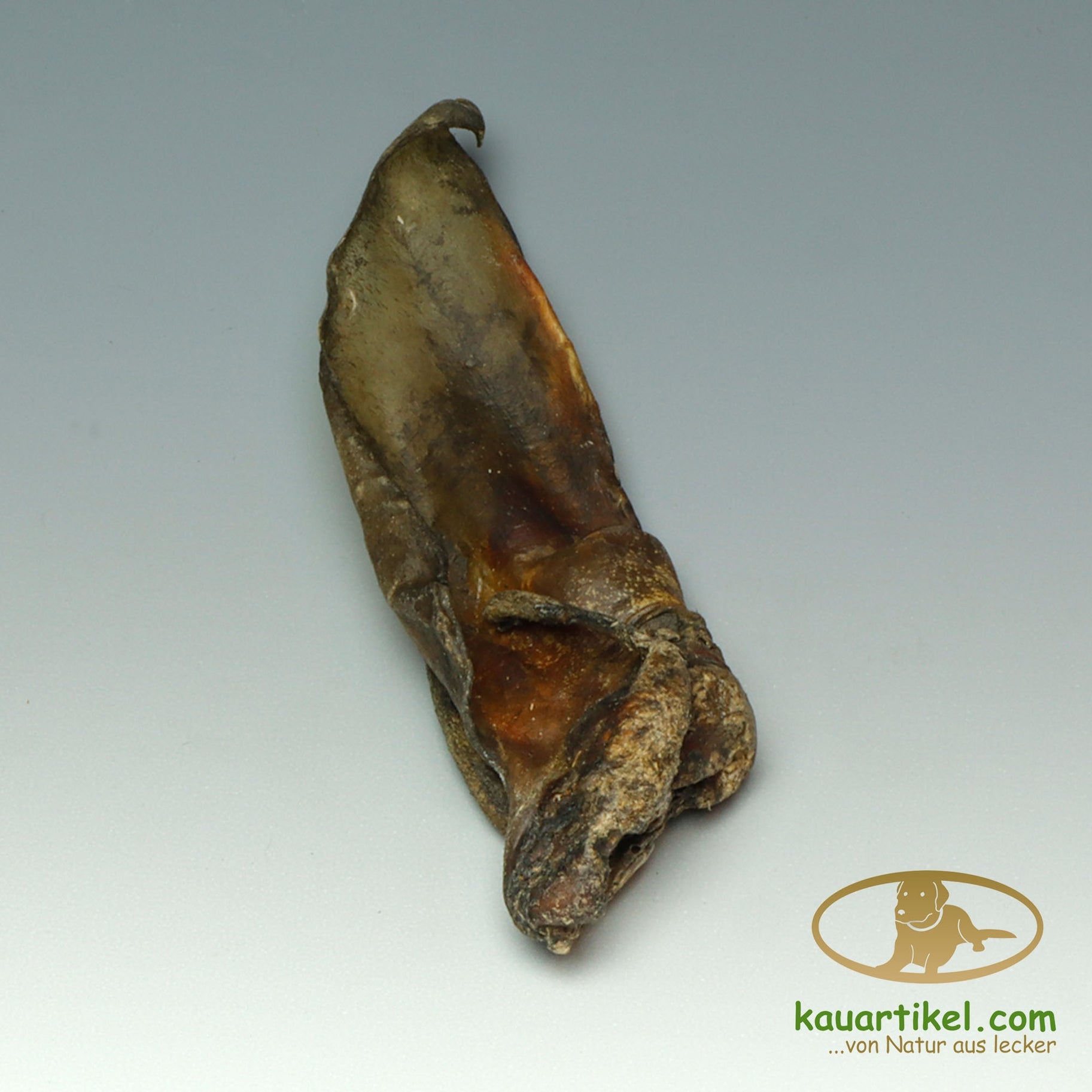 Oreilles de Veau avec pavillon Kauartikel