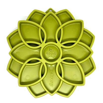 Plateau Mandala Soda Pup