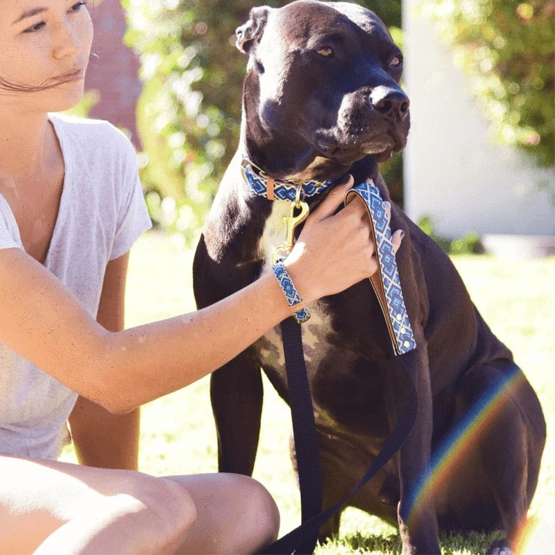 Laisse Mucky Pup Friendship Collar