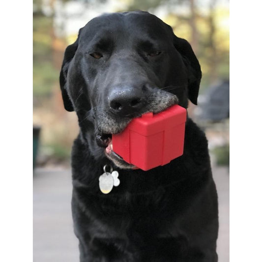 Cadeau Soda Pup