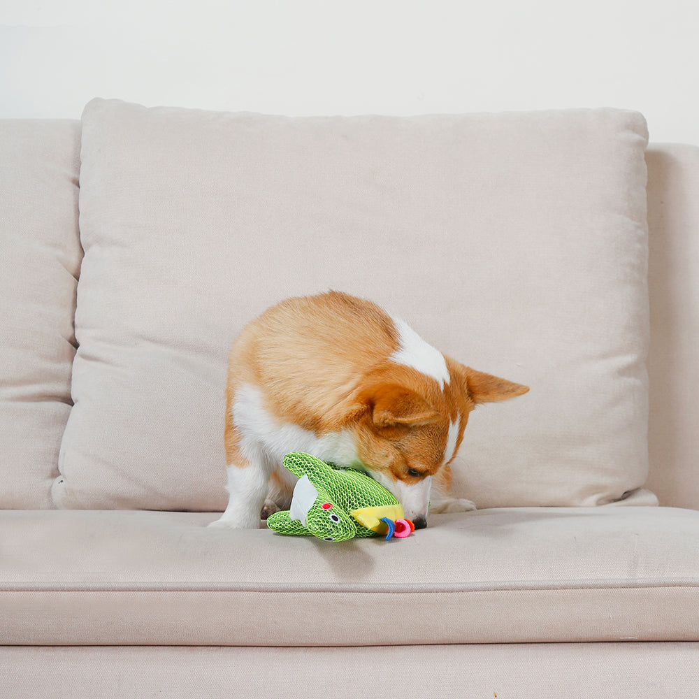 Dinosaure Green Hugsmart