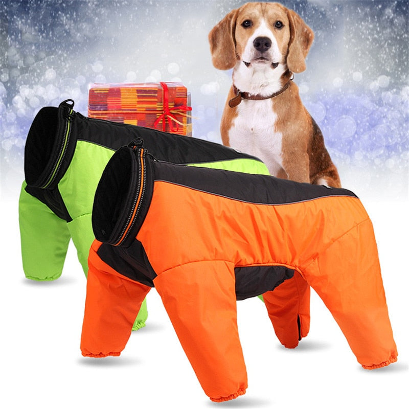 Combinaison Hiver TRUELOVE