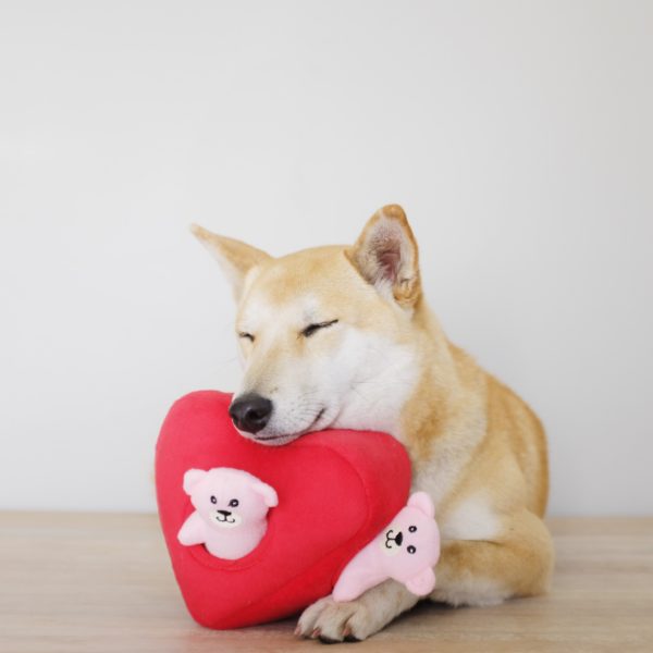 Cœur et oursons Zippy Paws