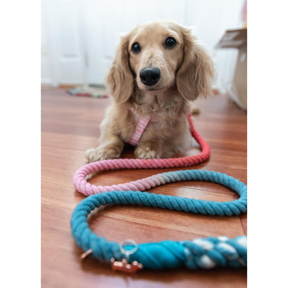 Laisse en corde JACK & JILL Sassy Woof