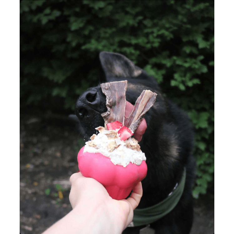 Cupcake Soda Pup