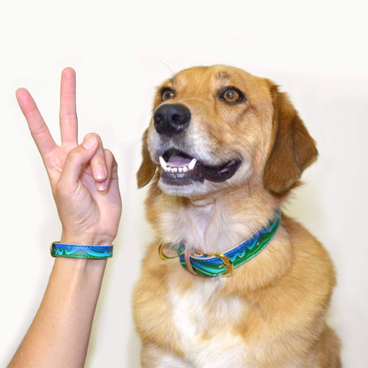 Collier et Bracelet Malachite magique Friendship Collar