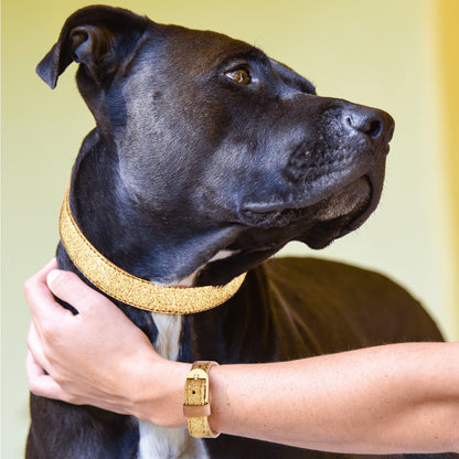 Collier et Bracelet Glitter Gold Friendship Collar
