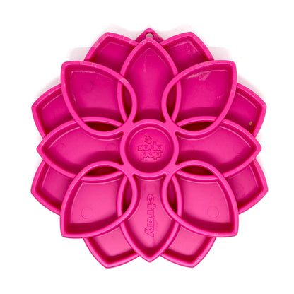 Plateau Mandala Soda Pup