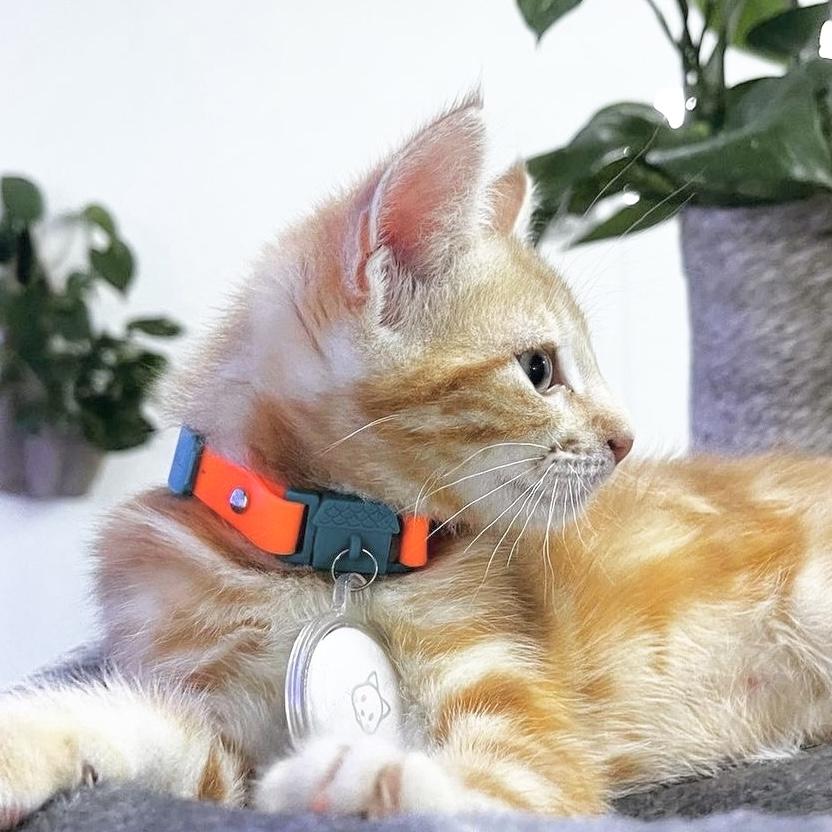 Collier Chaton Tangerine Kittyrama