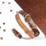 Collier et Bracelet Bronze pailleté Friendship Collar