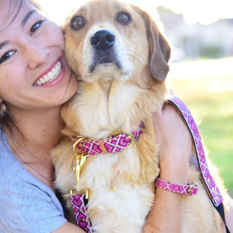 Laisse Princesse Pedigree Friendship Collar