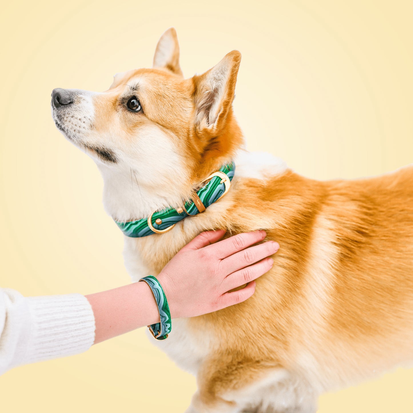 Collier et Bracelet Malachite magique Friendship Collar