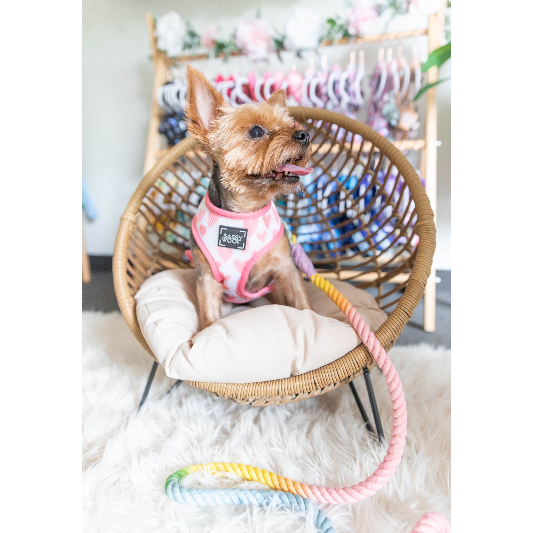 Laisse en corde FIESTA Sassy Woof
