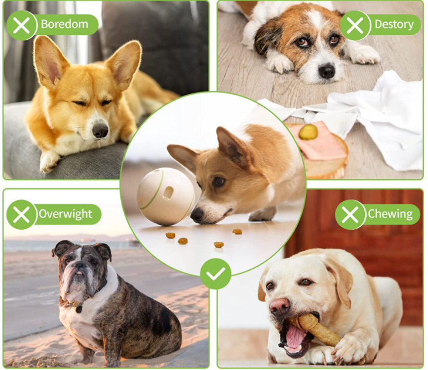 Foodie Orb Petgeek