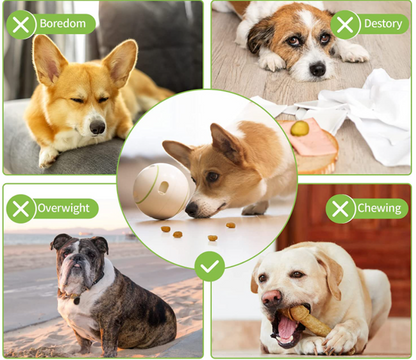 Foodie Orb Petgeek